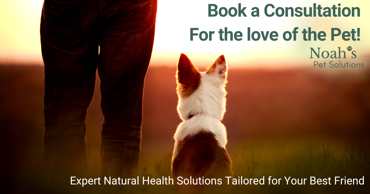 Healthy Pet Consultation